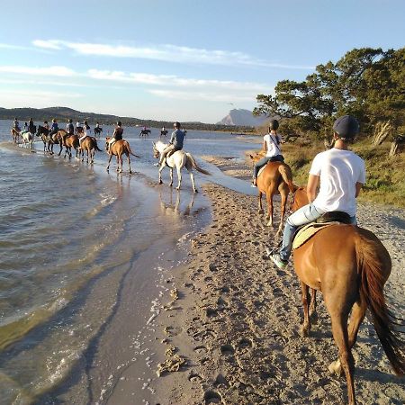 Appartamento Sette Posti Vicino Al Centro Di San Teodoro San Teodoro  Exteriér fotografie