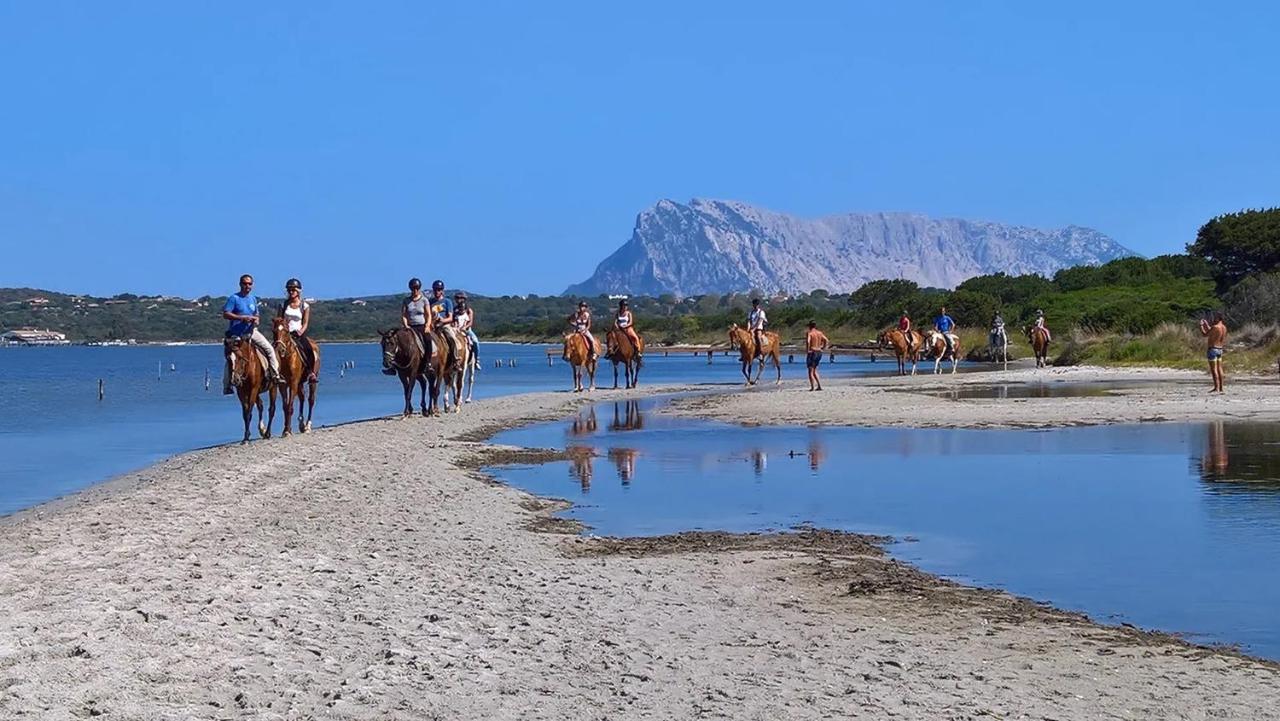 Appartamento Sette Posti Vicino Al Centro Di San Teodoro San Teodoro  Exteriér fotografie